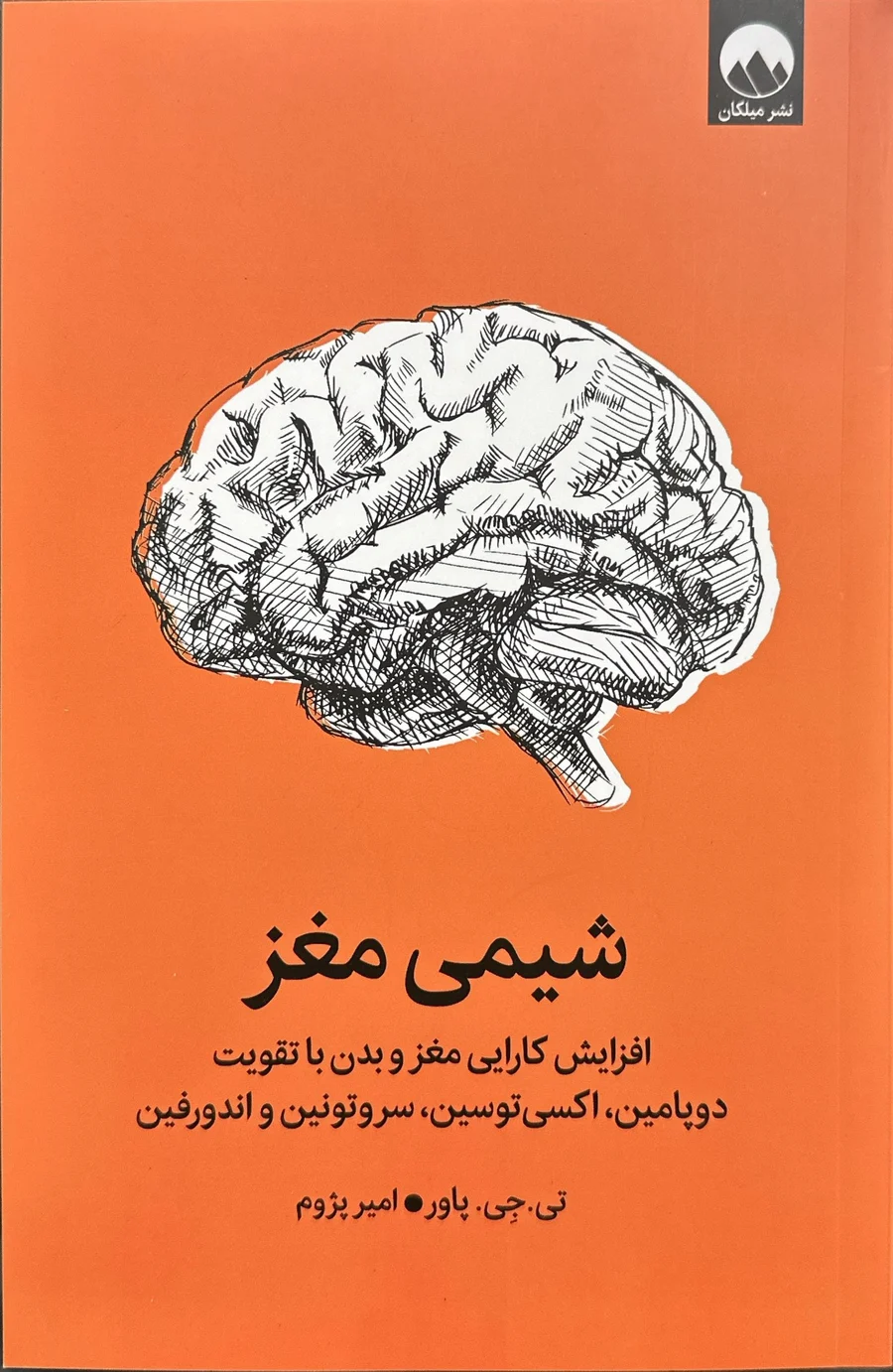 جلد شیمی مغز