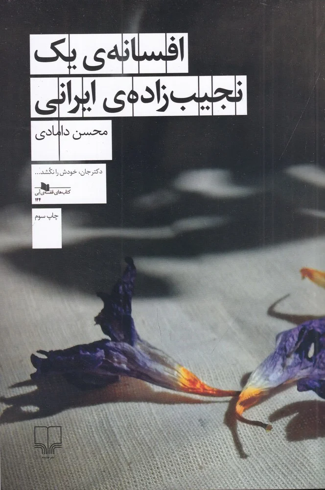 جلد افسانه ی یک نجیب زاده ی ایرانی