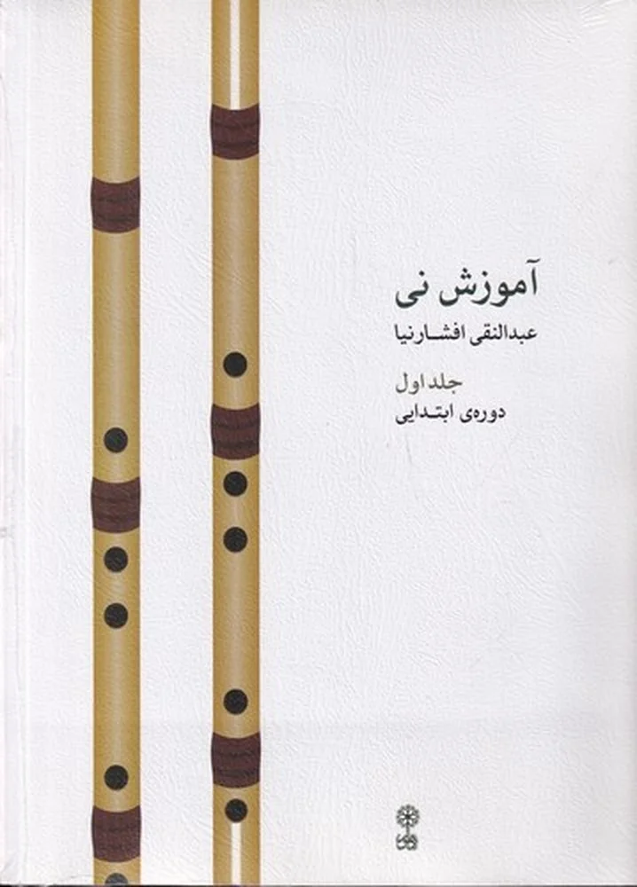 جلد آموزش نی