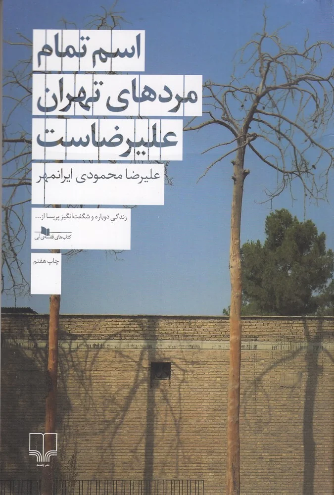 جلد اسم تمام مردهای تهران علیرضاست