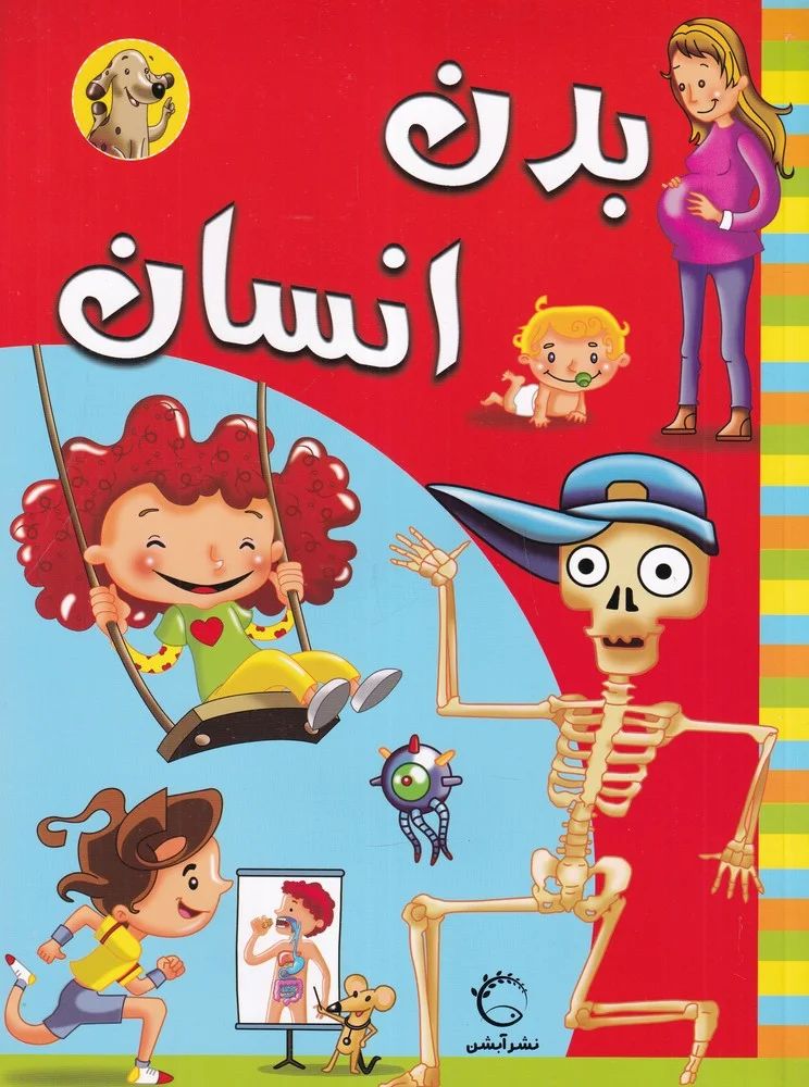 جلد بدن انسان