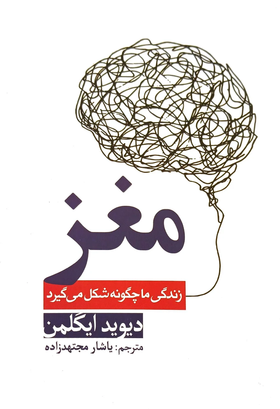جلد مغز