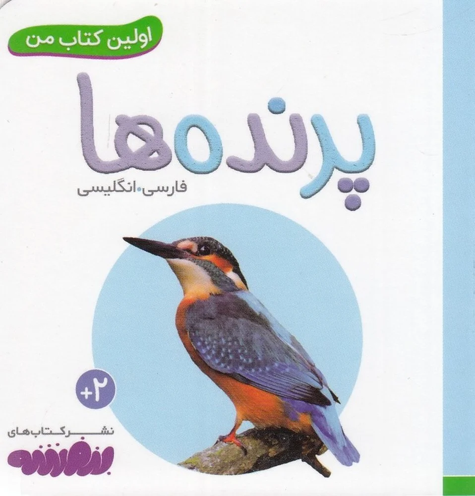 جلد بورد بوک اولین کتاب من: پرنده ها