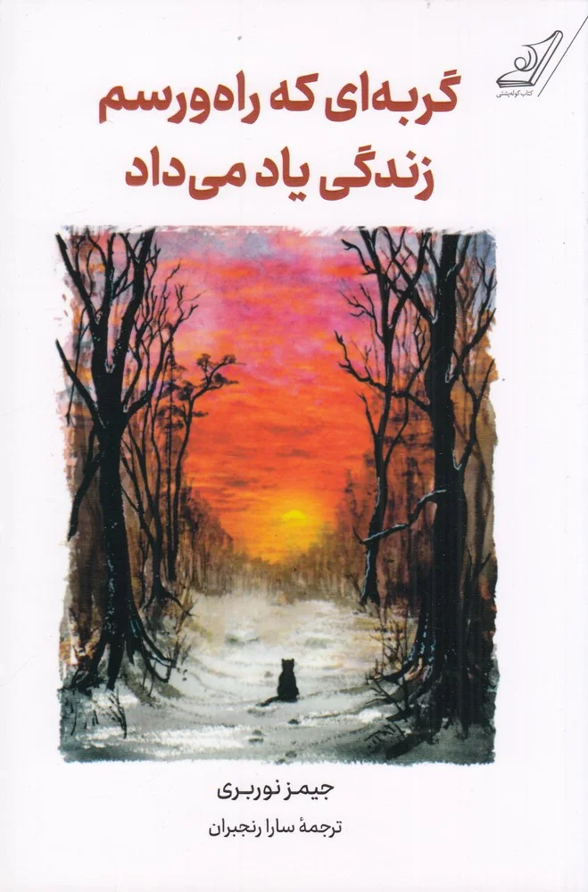 جلد گربه ای که راه و رسم زندگی یاد می داد