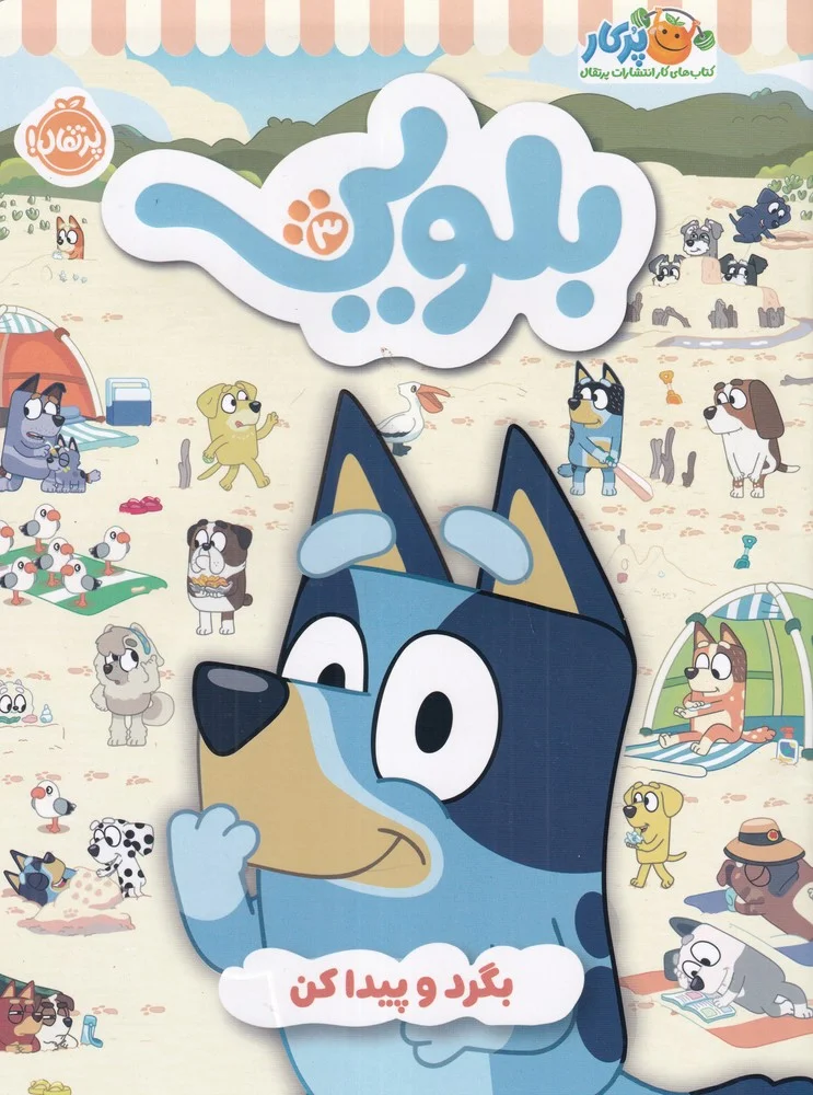 جلد کار بلویی 3: بگرد و پیدا کن