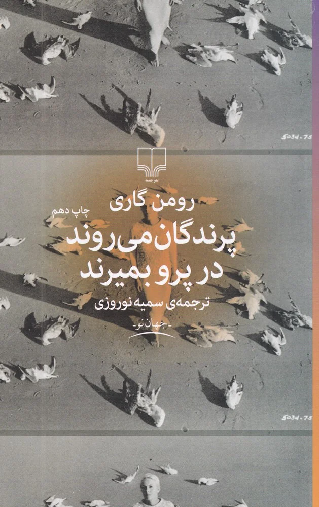 پرندگان می روند در پرو بمیرند