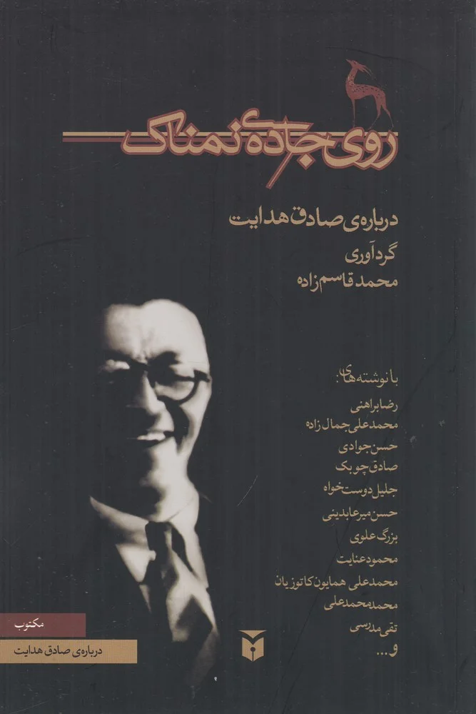 جلد روی جاده نمناک: درباره صادق هدایت
