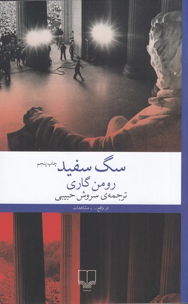 سگ سفید