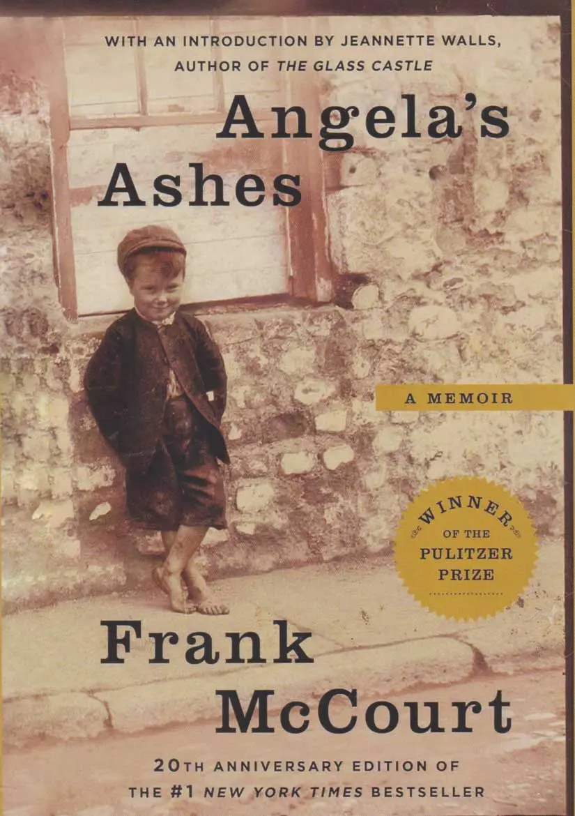 جلد The Angela's Ashes