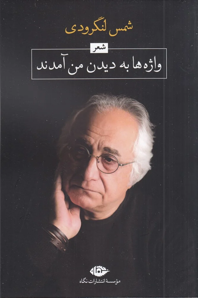جلد واژه ها به دیدن من آمدند