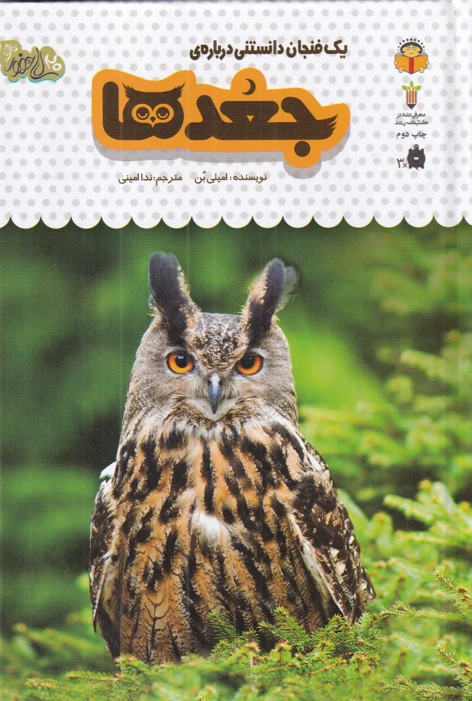 جلد یک فنجان دانستنی درباره ی 11: جغدها