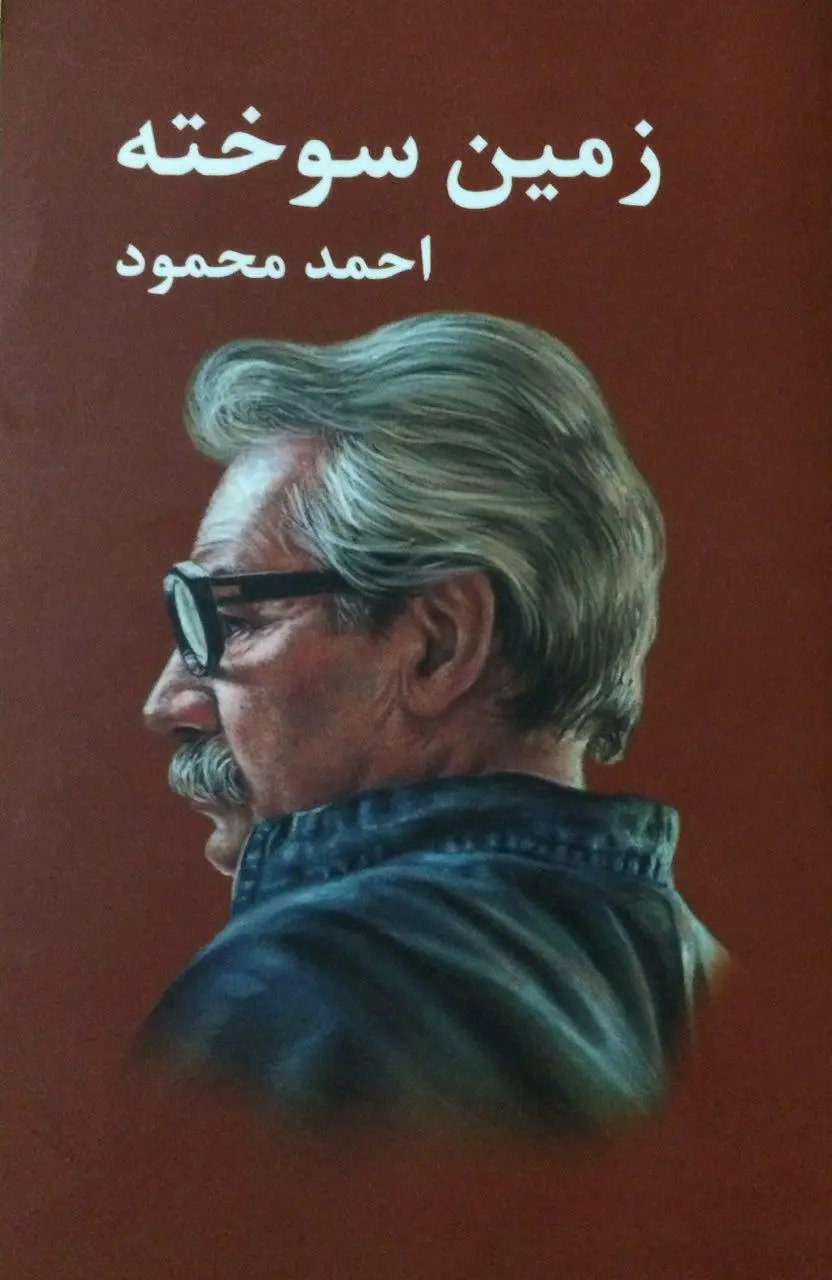 جلد زمین سوخته
